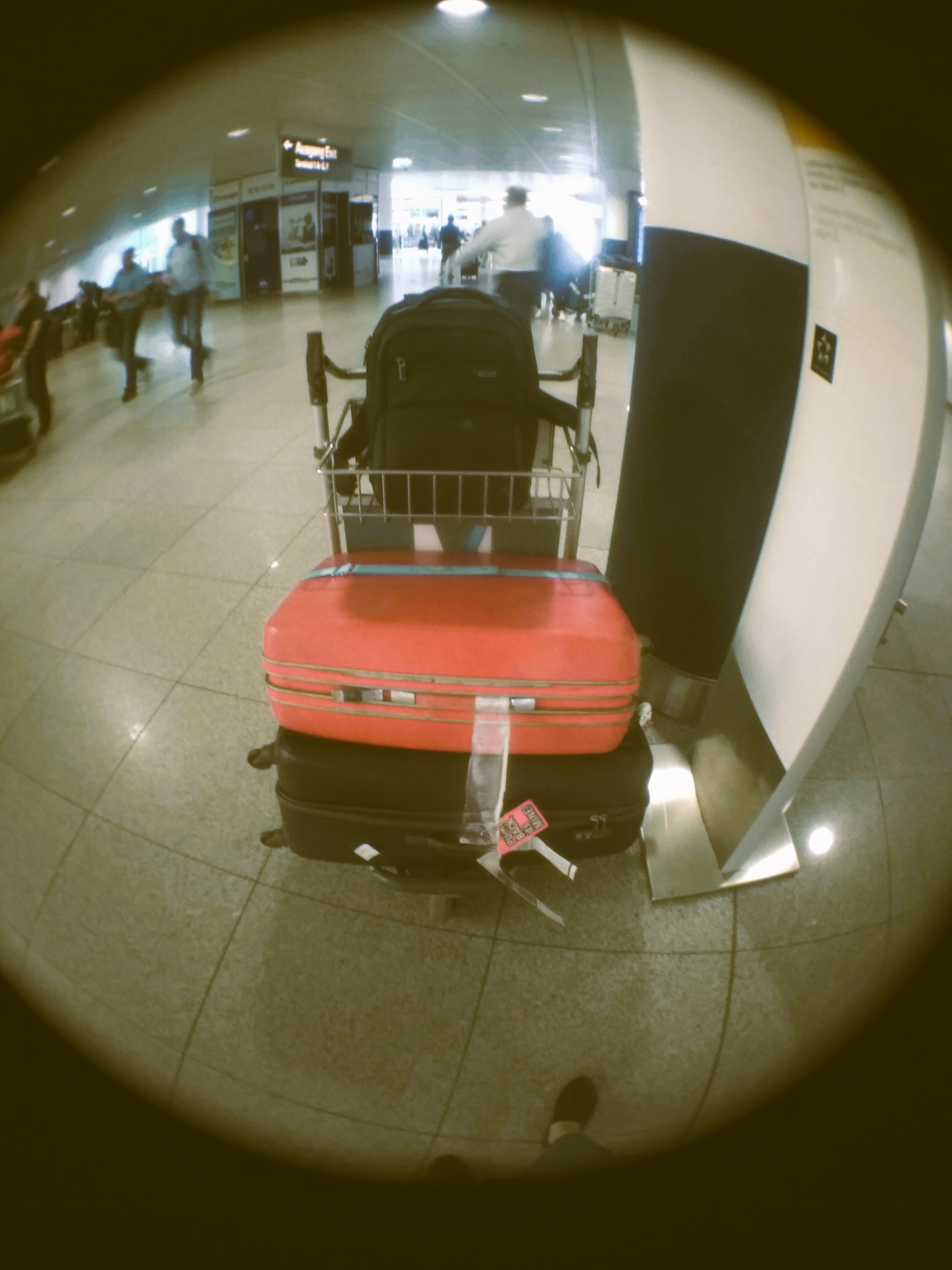 受保護的內容: privilege